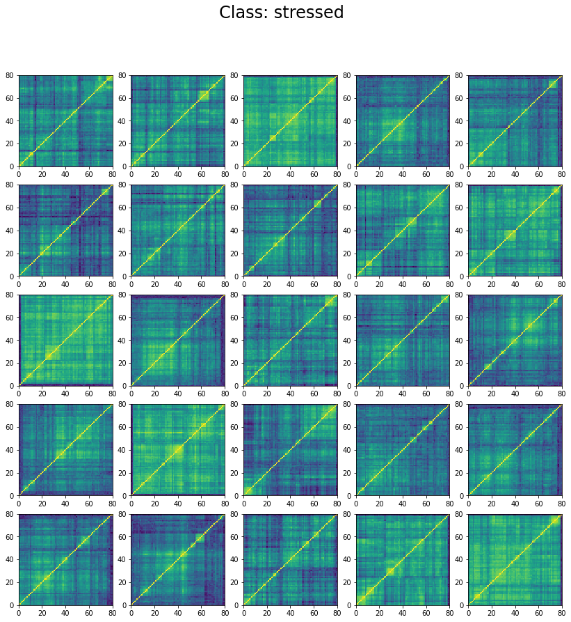 Examples of 'stressed' correlations in the training set